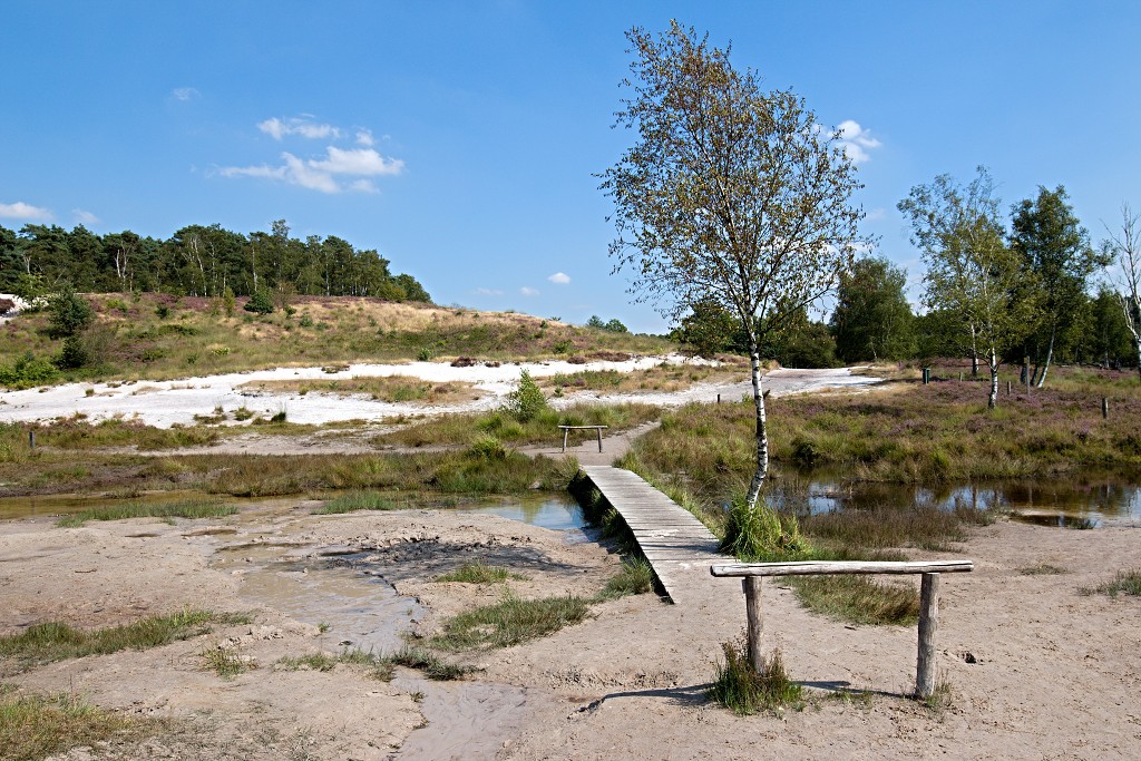 Brunssummerheide heide hei natuurgebied natuurmonumenten natuur recreatiegebied hdr limburg heidelandschap landschap sterrenwacht